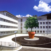 a+v BKR Land Pongau Goldegg Bonsai