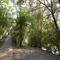 Murpromenade