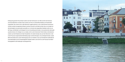 Flussraum Salzach