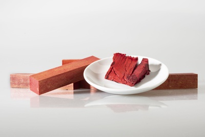 © FH Salzburg | Campus Kuchl