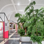 DAM: Ausstellung  Einfach Grün