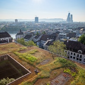 Flachdach_2021